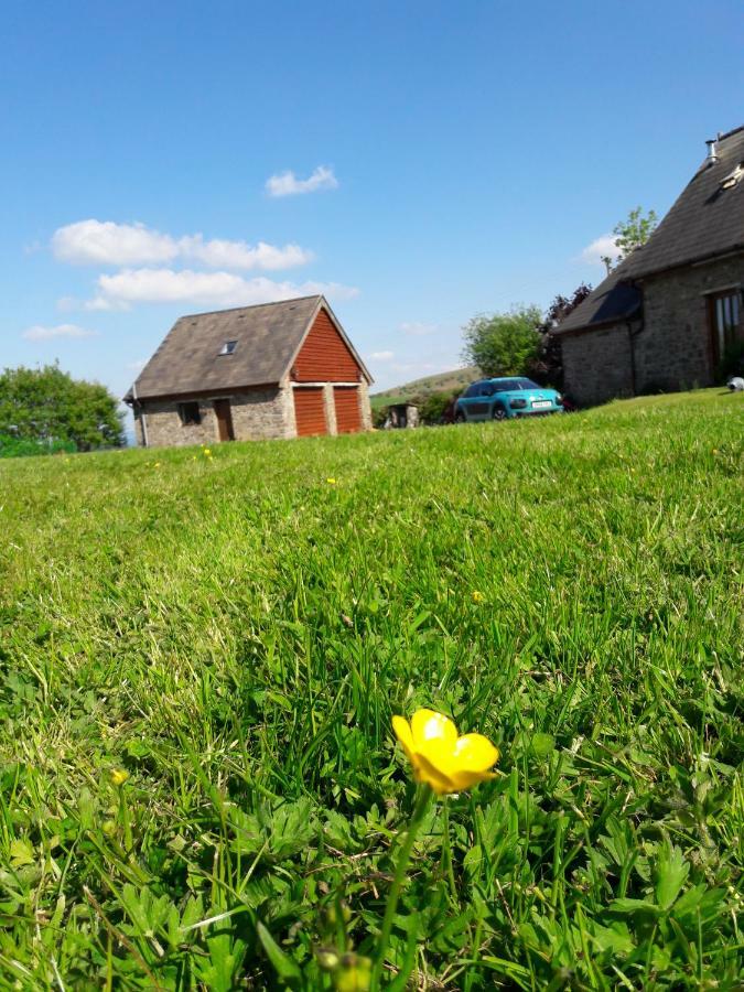 The Barn Annexe, Cefn-Yr-Allt Crickadarn Exteriör bild